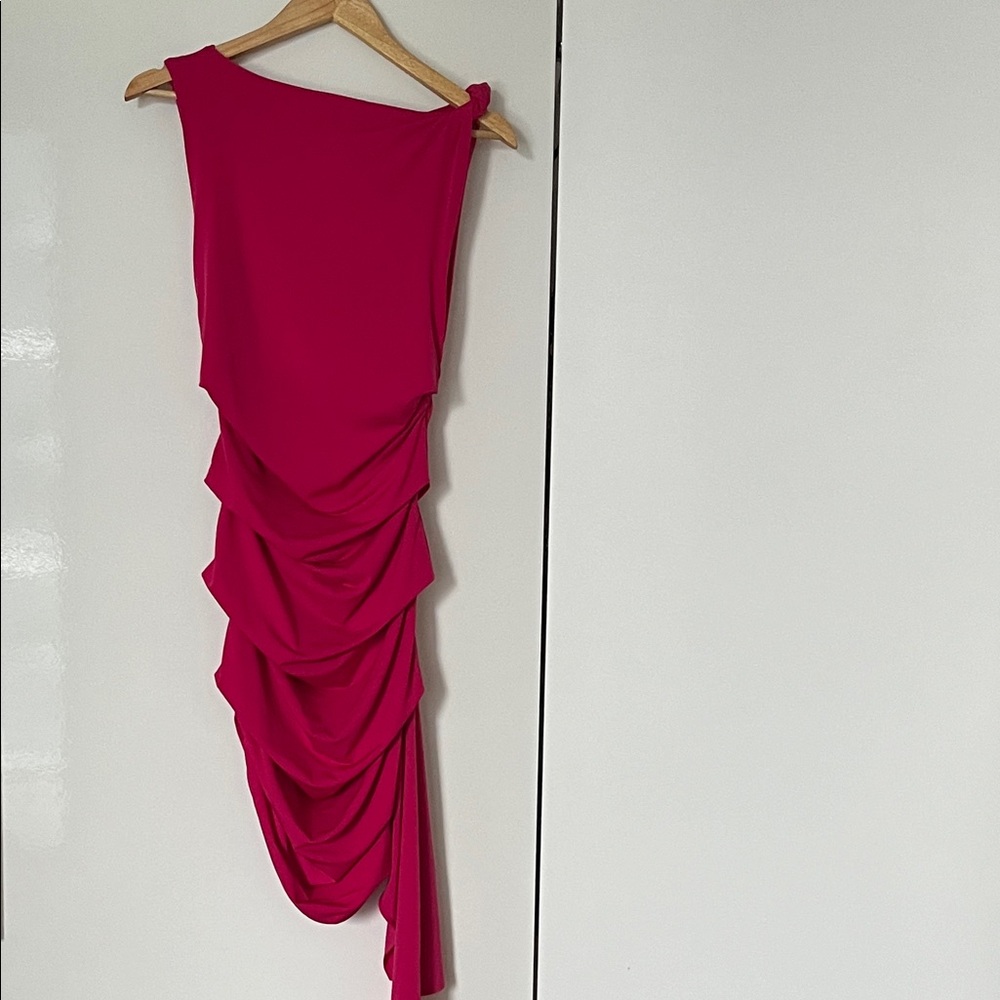 ZARA Rutched Fuchsia Dress - Picture 6 of 6